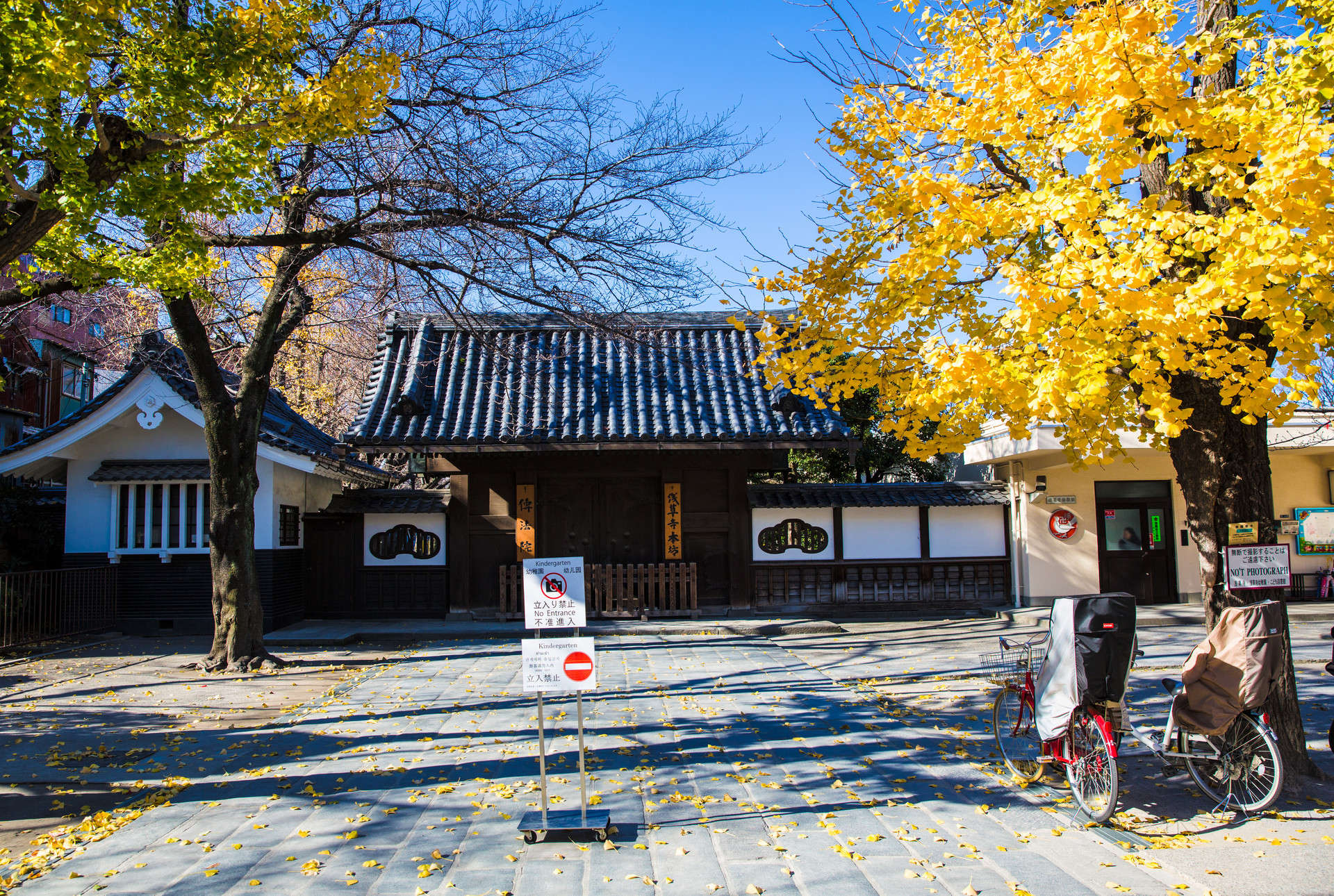 干货 | 日本的教育制度和教育福利全解读