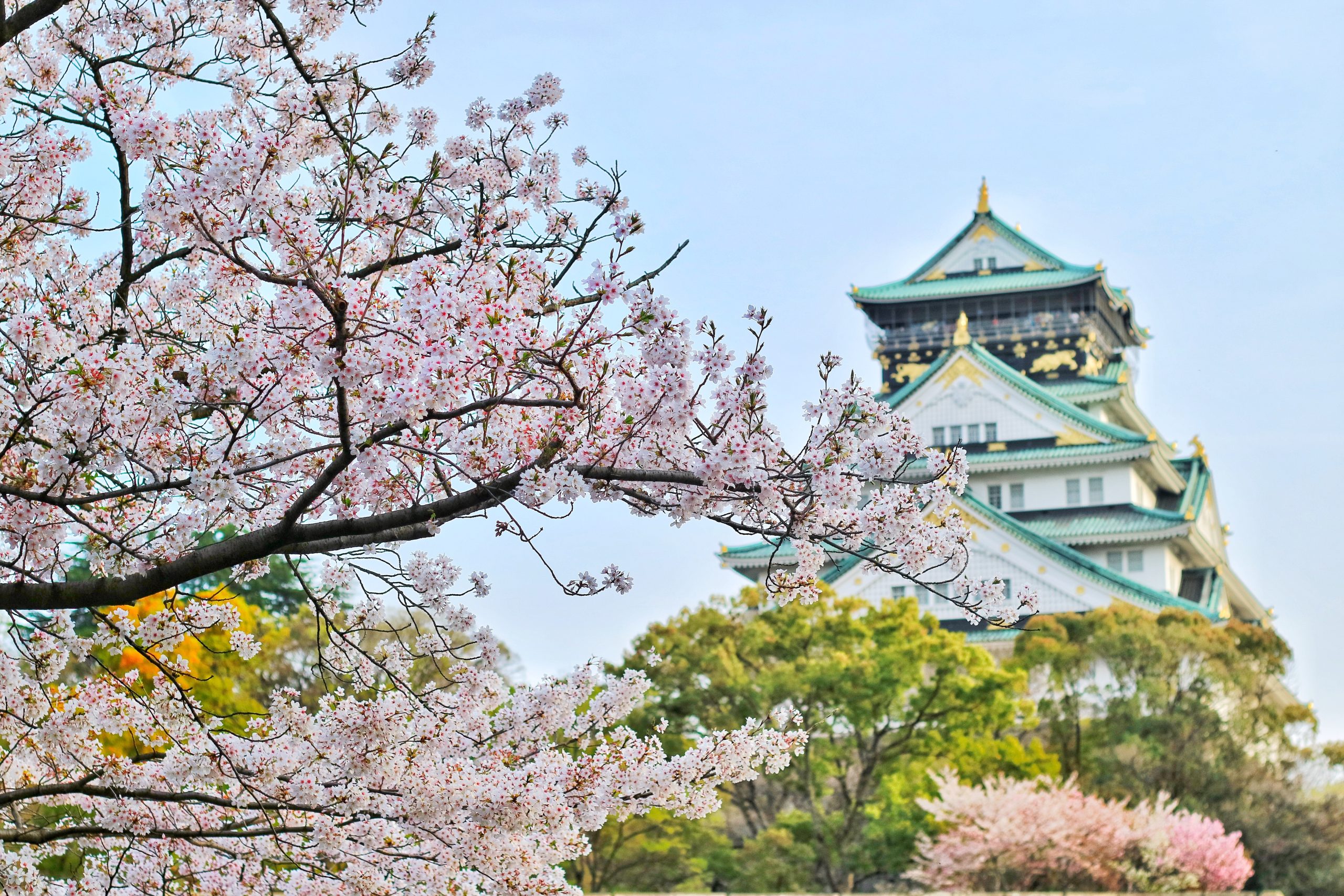 移居日本后，如何给父母办理签证来日本团聚？