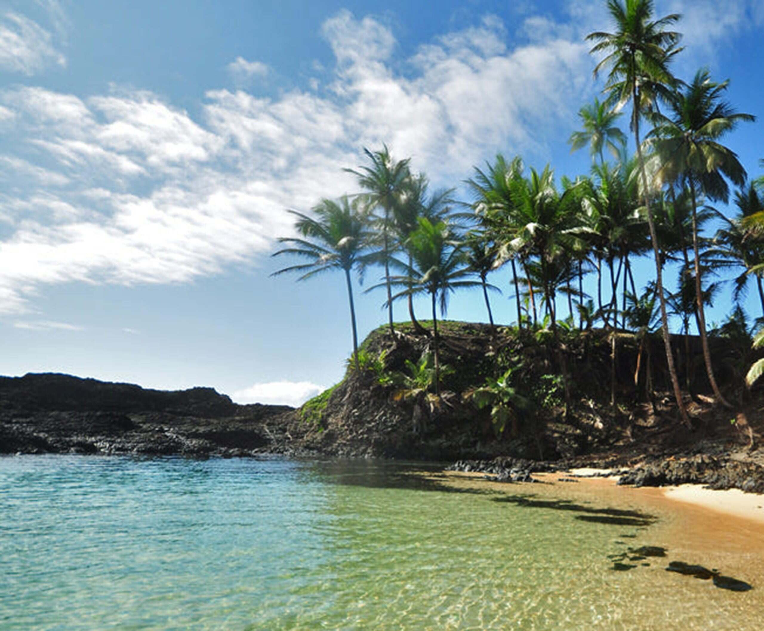 全球最便宜护照来了！有法案保障，可跳板葡巴