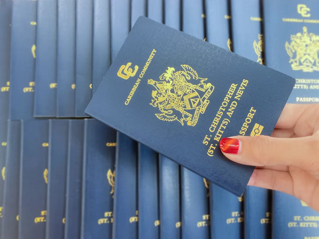 可以合法改名的护照项目，总有一个适合你