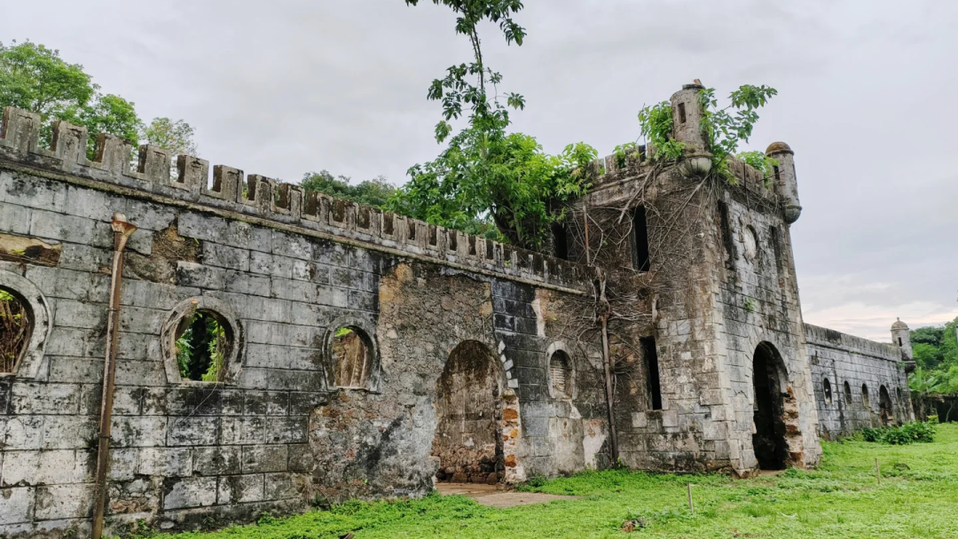 2025年最便宜新兴法案护照，便宜又实用