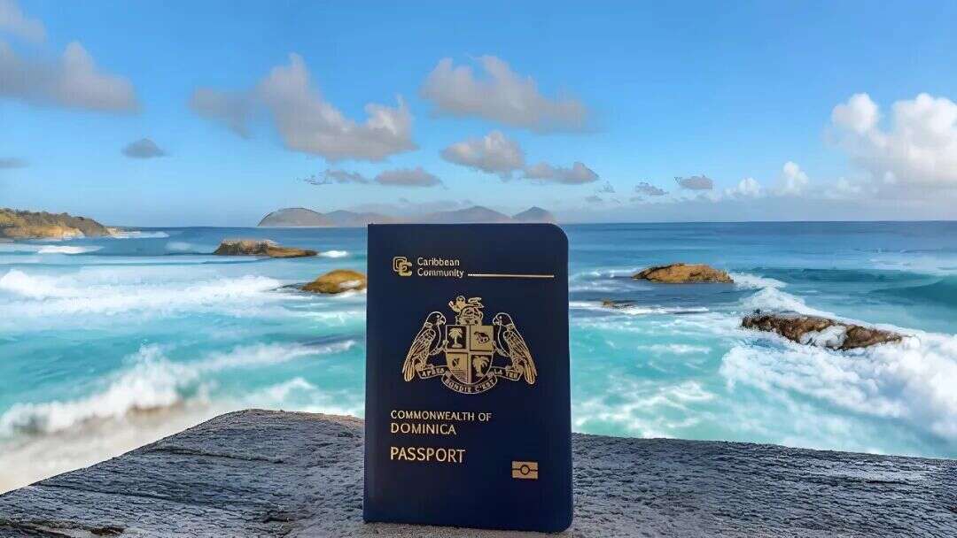 锁定旧政“无移民监”最后窗口期，20万美金起拿140+国免签护照