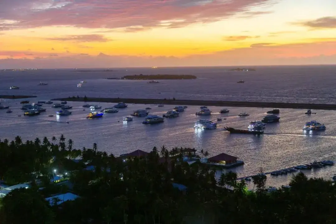 三大“平价版”护照,最快30天解锁海外身份