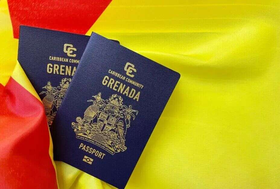 绕开美国签证壁垒，这本护照是高净值家庭优选之一